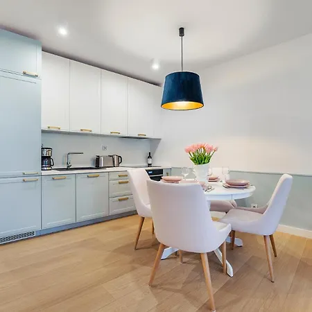 Daire Tukan- Polanki Aqua -