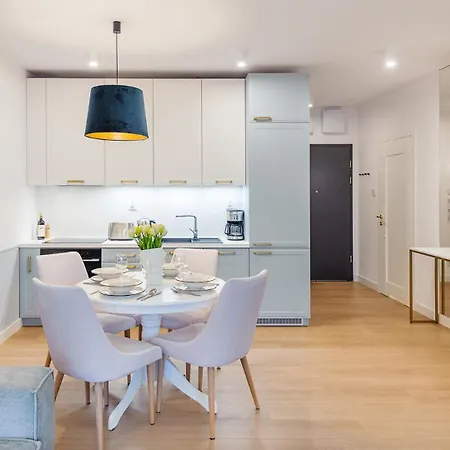 Daire Tukan- Polanki Aqua -